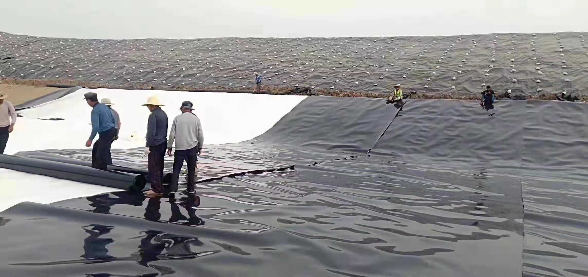 已建平原水库设计、施工、运行经验