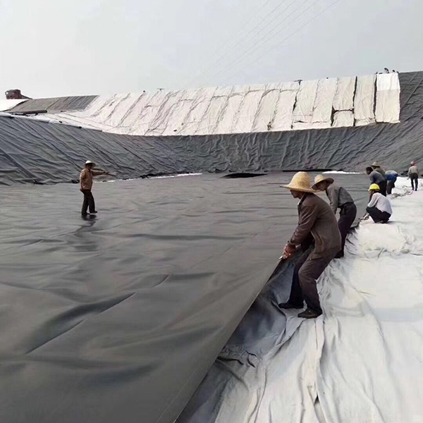 水库土工膜采购需要注意哪些问题？