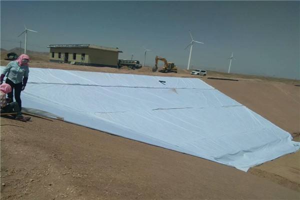 复合土工膜力学特性、整体性及经济性