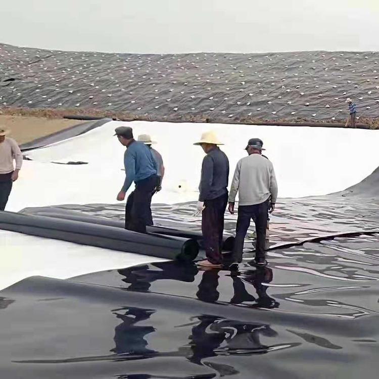 保证渗滤液得到有组织收集、处理的基本前提