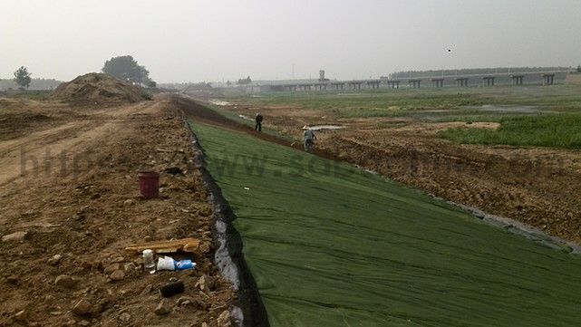 你知道城市绿化的草坪是如何一天内生长的吗？