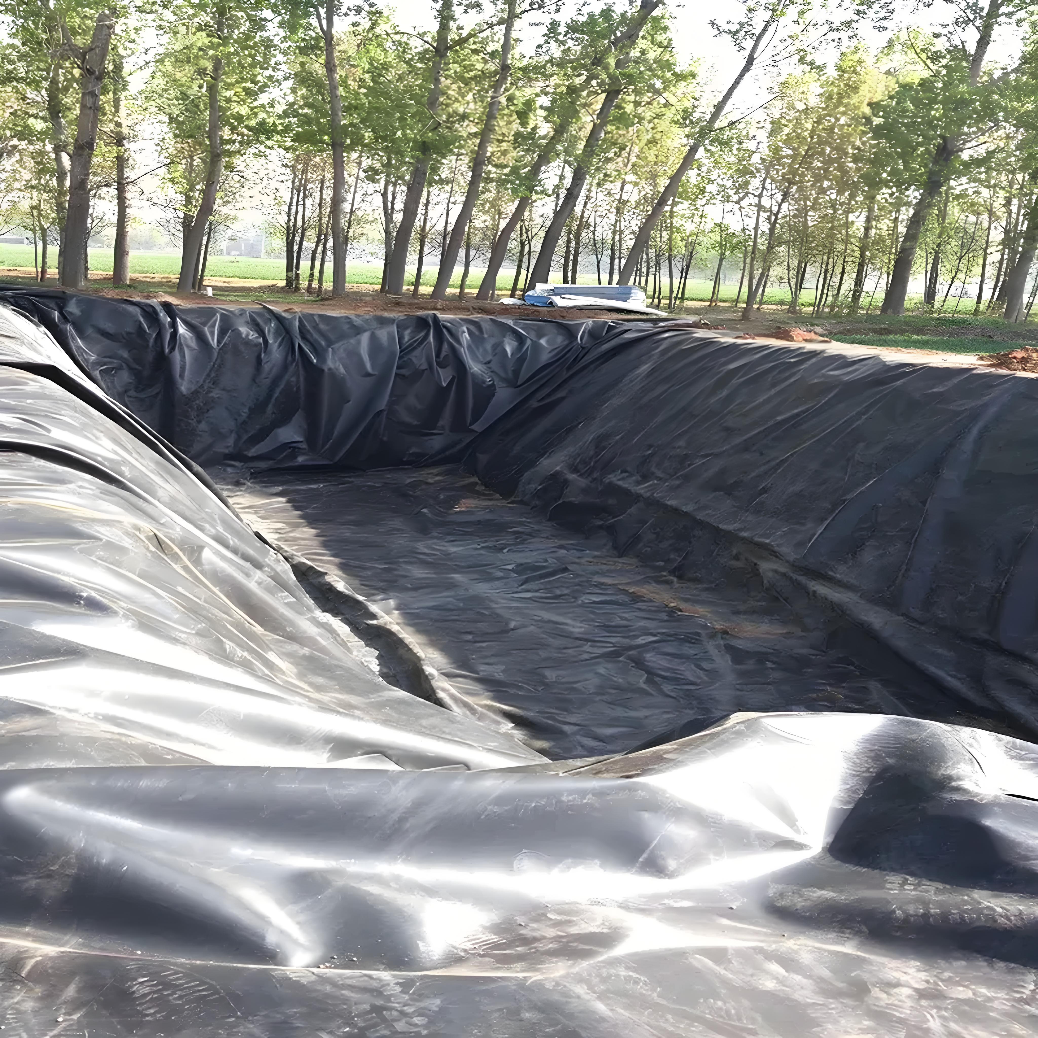 21f22622-ad55-400f-9ede-e540aeb43d19.jpg 21f22622-ad55-400f-9ede-e540aeb43d19.jpg