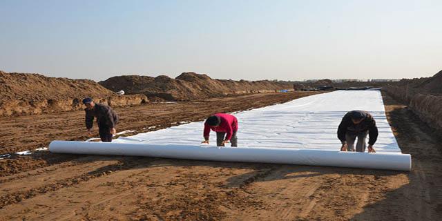 水库设计土工膜情况如何？