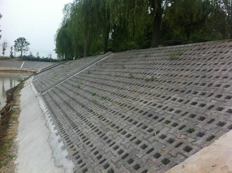 3种常见的坡式护岸技术分别是什么类型？