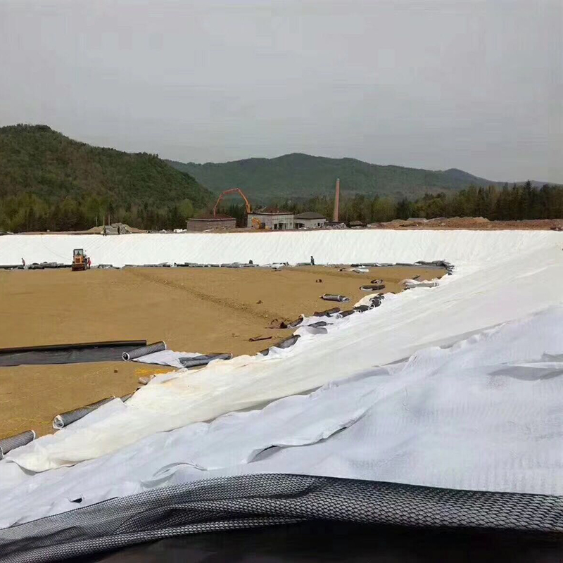 设计容积50万m3的调蓄水池防渗体采用方式？