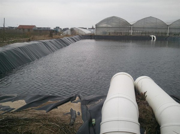地下水位常年高于铺膜高程正常设，低于铺膜高程不设