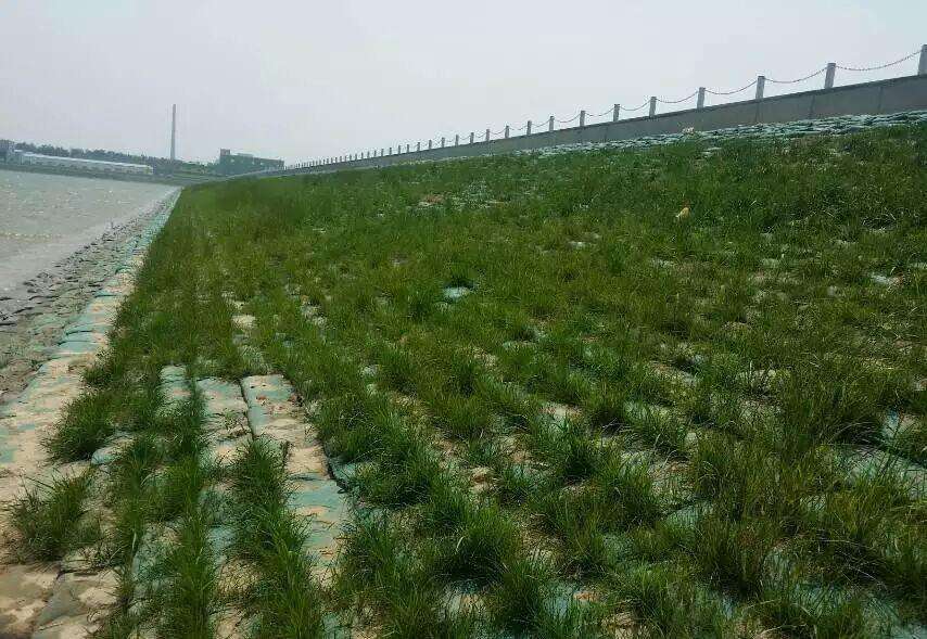 常用的海岛边坡修复技术有哪些？如何修复海岛边坡？