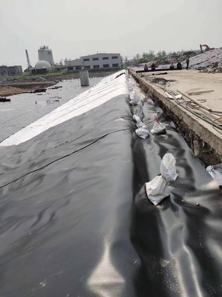 垂直铺膜防渗方案：将土工膜垂直插入地下，切断粉砂水平渗透通道